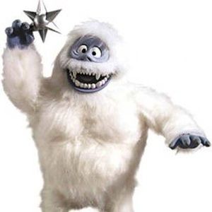 Meet your Posher, Shayne